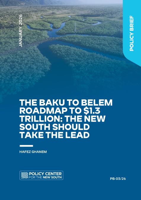 The Baku To Belem Roadmap To $1.3 Trillion: The New South Should
